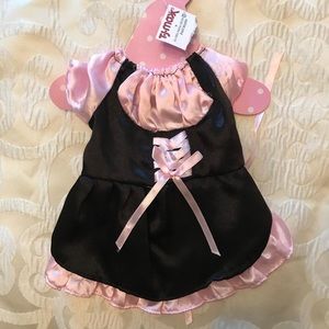 Dog Costume πΆ HOST PICK β¨